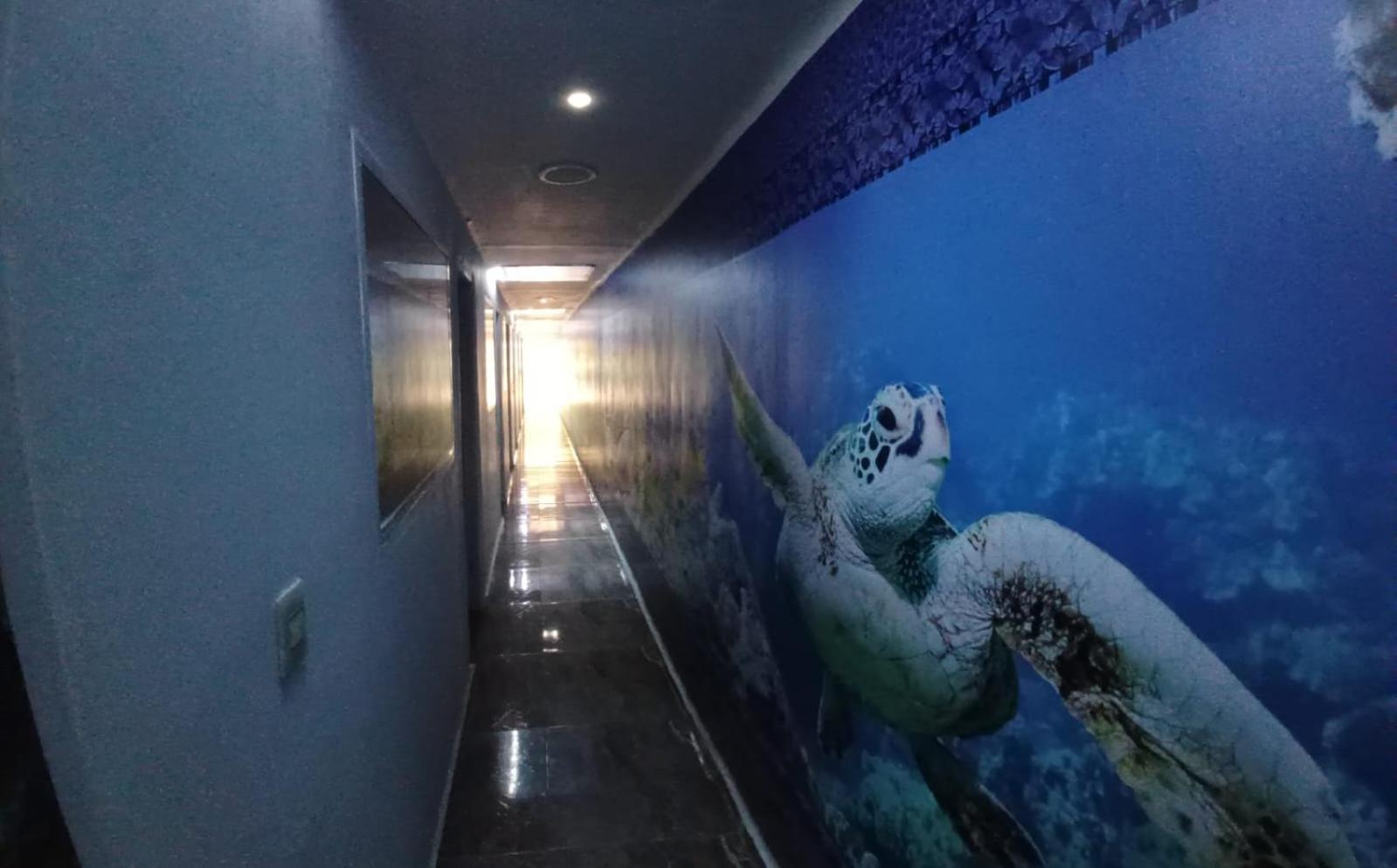 Hotel Dmauro Cartagena Εξωτερικό φωτογραφία